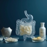 Saúde intestinal e imunidade: entenda a relação e evite mitos